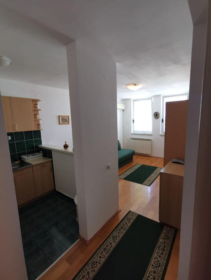 Ferienwohnung Bulevar Stan Na Dan Novi Sad Exterior foto