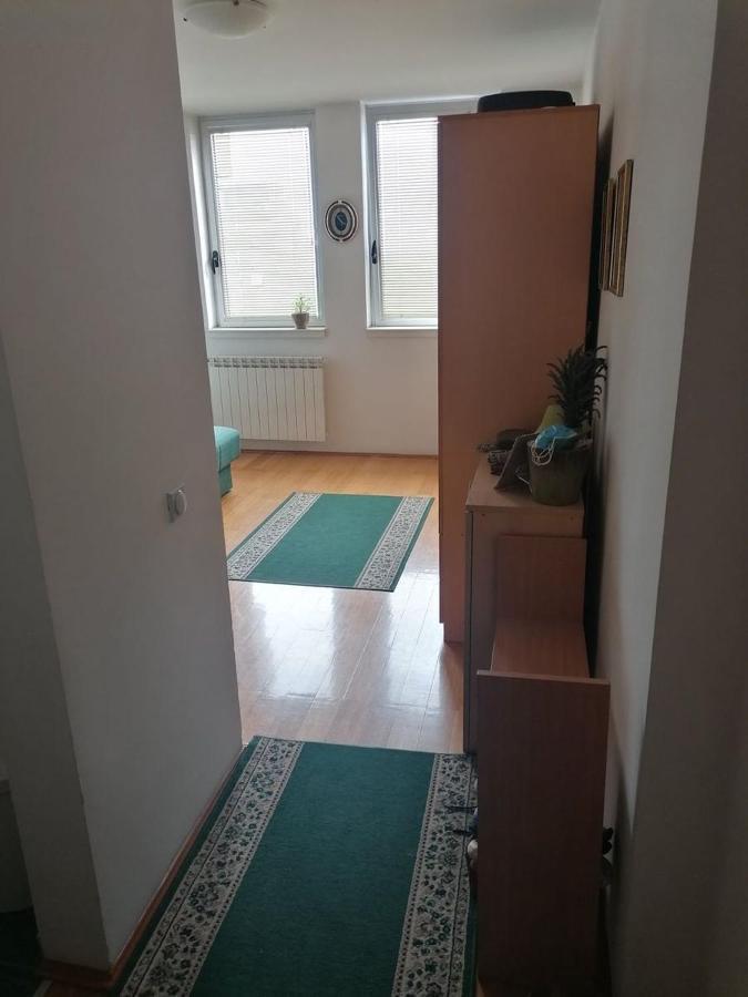 Ferienwohnung Bulevar Stan Na Dan Novi Sad Exterior foto